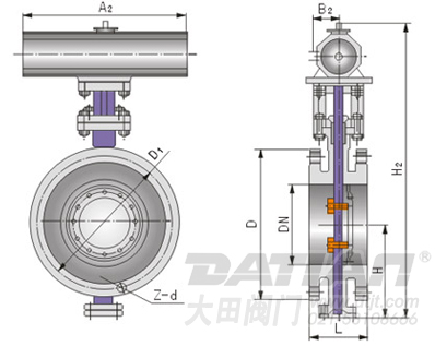 Dd643氣動(dòng)法蘭式多層次金屬硬密封蝶閥 結(jié)構(gòu)圖