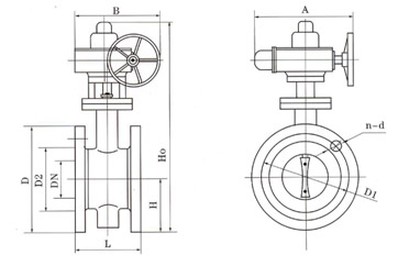 D941X電動法蘭式軟密封蝶閥結(jié)構(gòu)圖