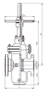 Z43F 導(dǎo)流孔平行式閘閥結(jié)構(gòu)示意圖