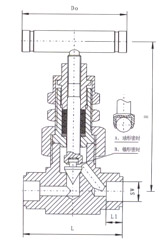 SS-6NBSW8T美標焊接針型閥結(jié)構示意圖